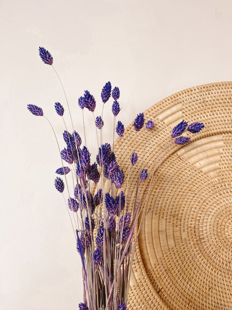 Phalaris Purple Dried Flowers - Rosetta's