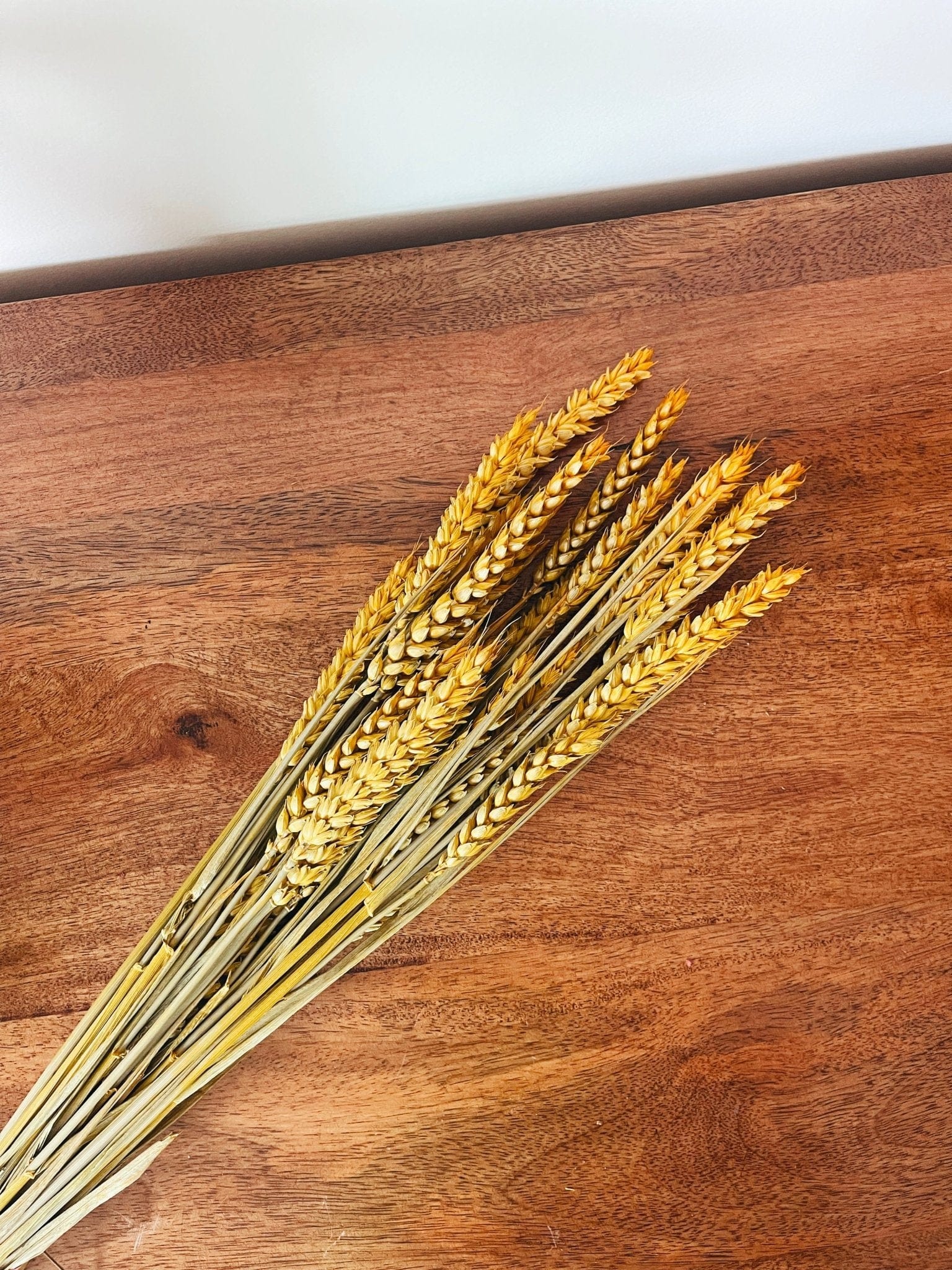 Wheat Yellow Dried Flowers - Rosetta's
